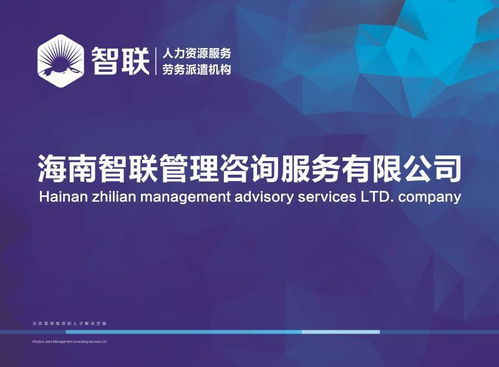 海南智聯(lián)管理咨詢服務