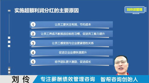 薪酬績效管理咨詢公司 第3集 股權(quán)激勵之超額利潤分紅